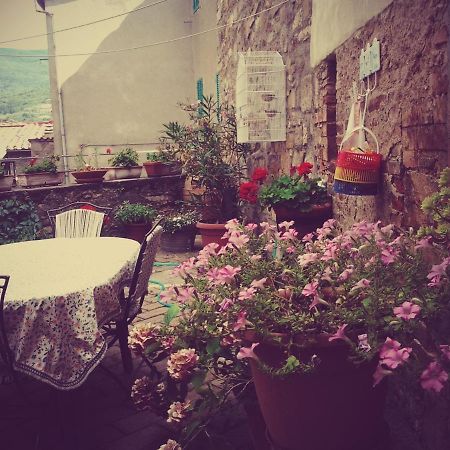 Dimora Toscana Apartment Seggiano Luaran gambar