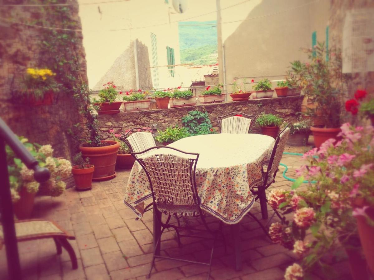 Dimora Toscana Apartment Seggiano Luaran gambar