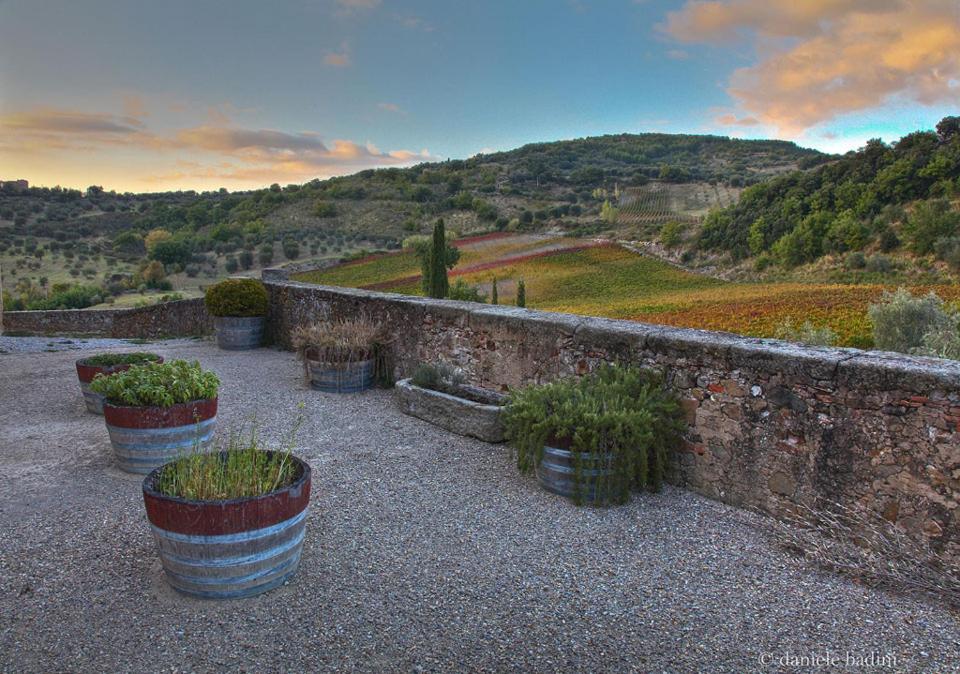 Dimora Toscana Apartment Seggiano Luaran gambar